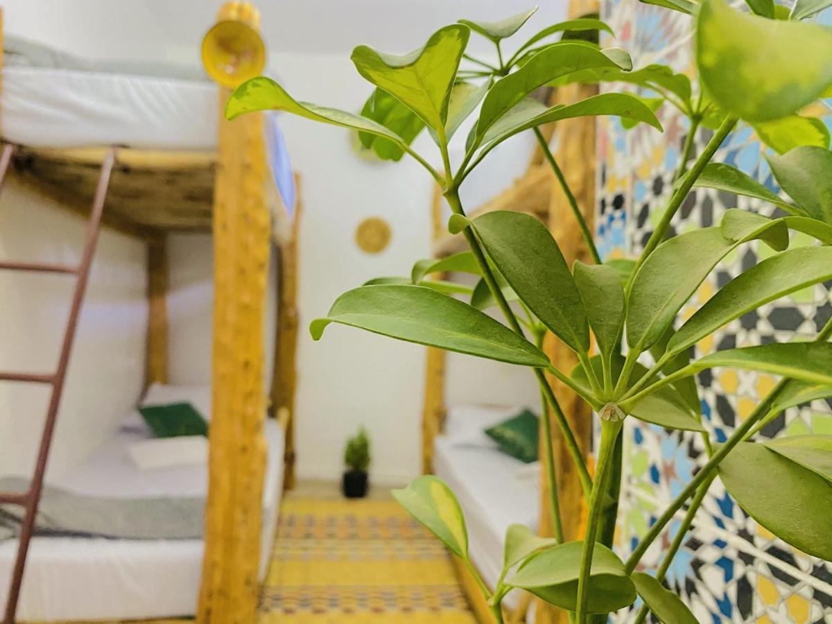 Tizaou Guest House Taghazout Exteriér fotografie